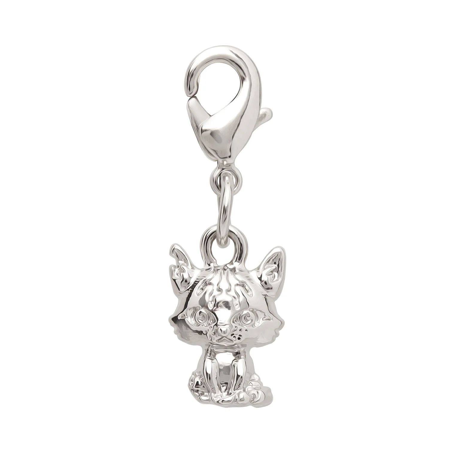 Warrior Cats Tigerstar Charm