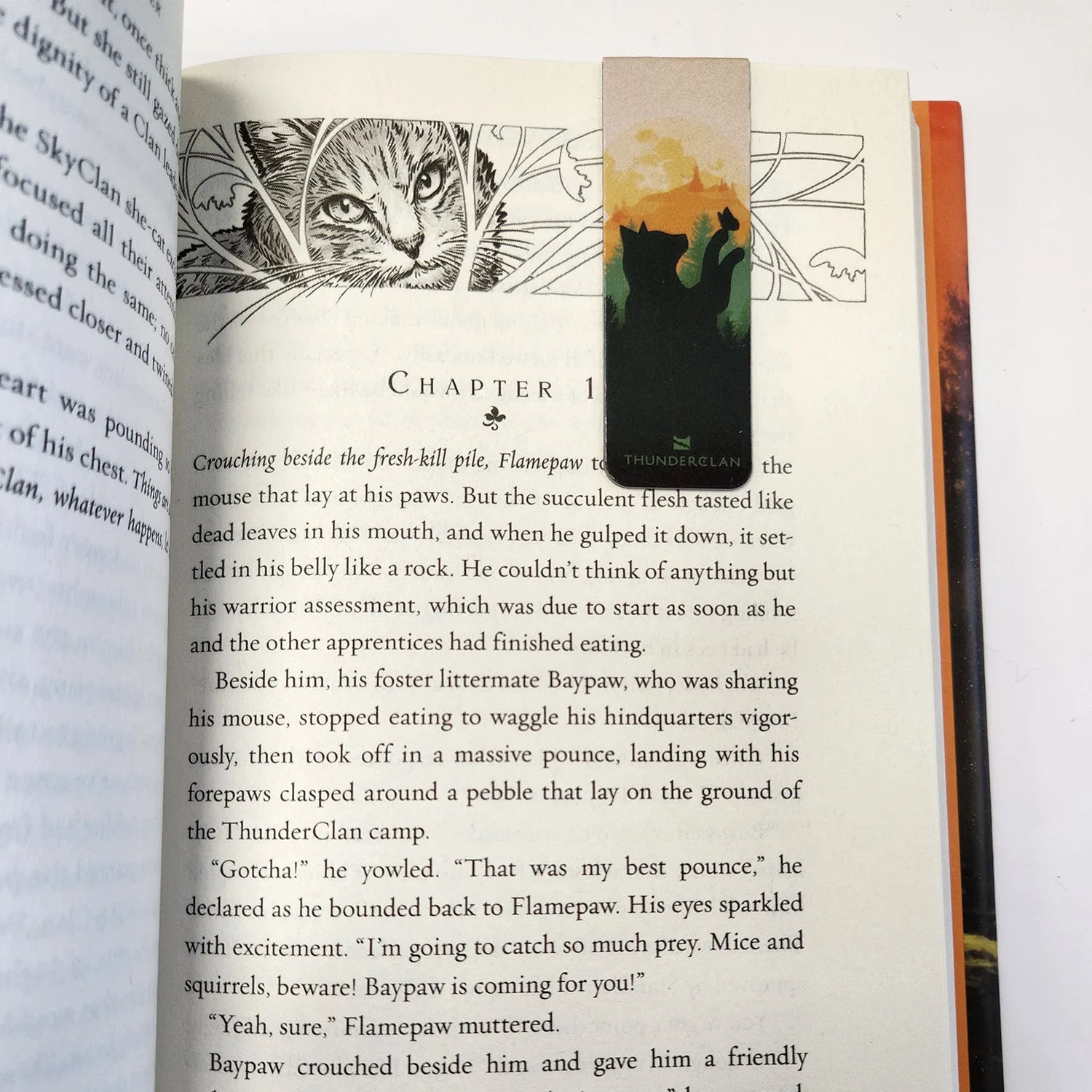 ThunderClan