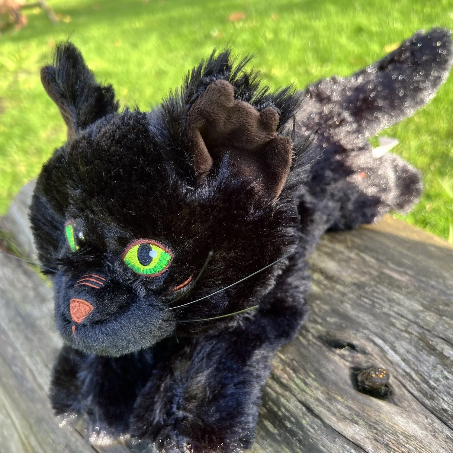 Hollyleaf