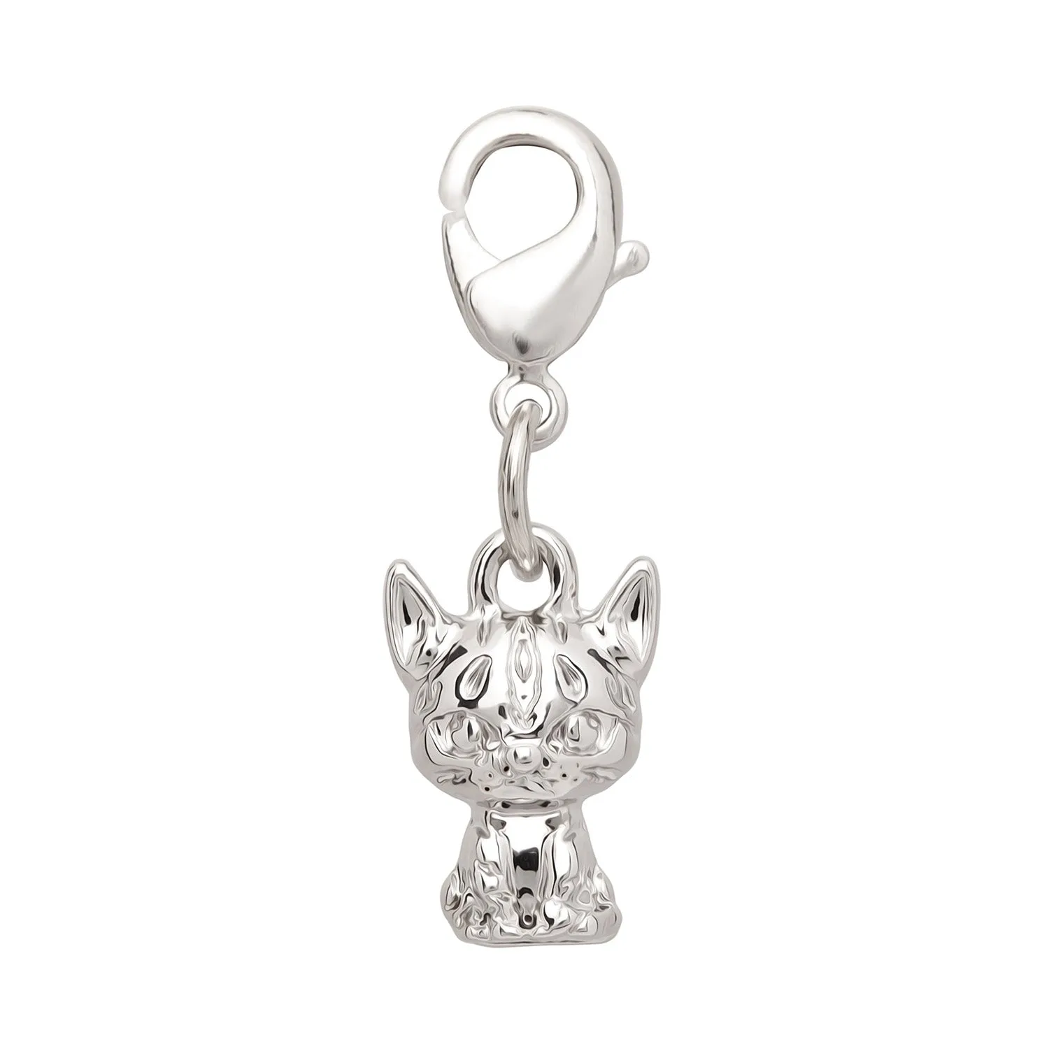 Jayfeather Charm