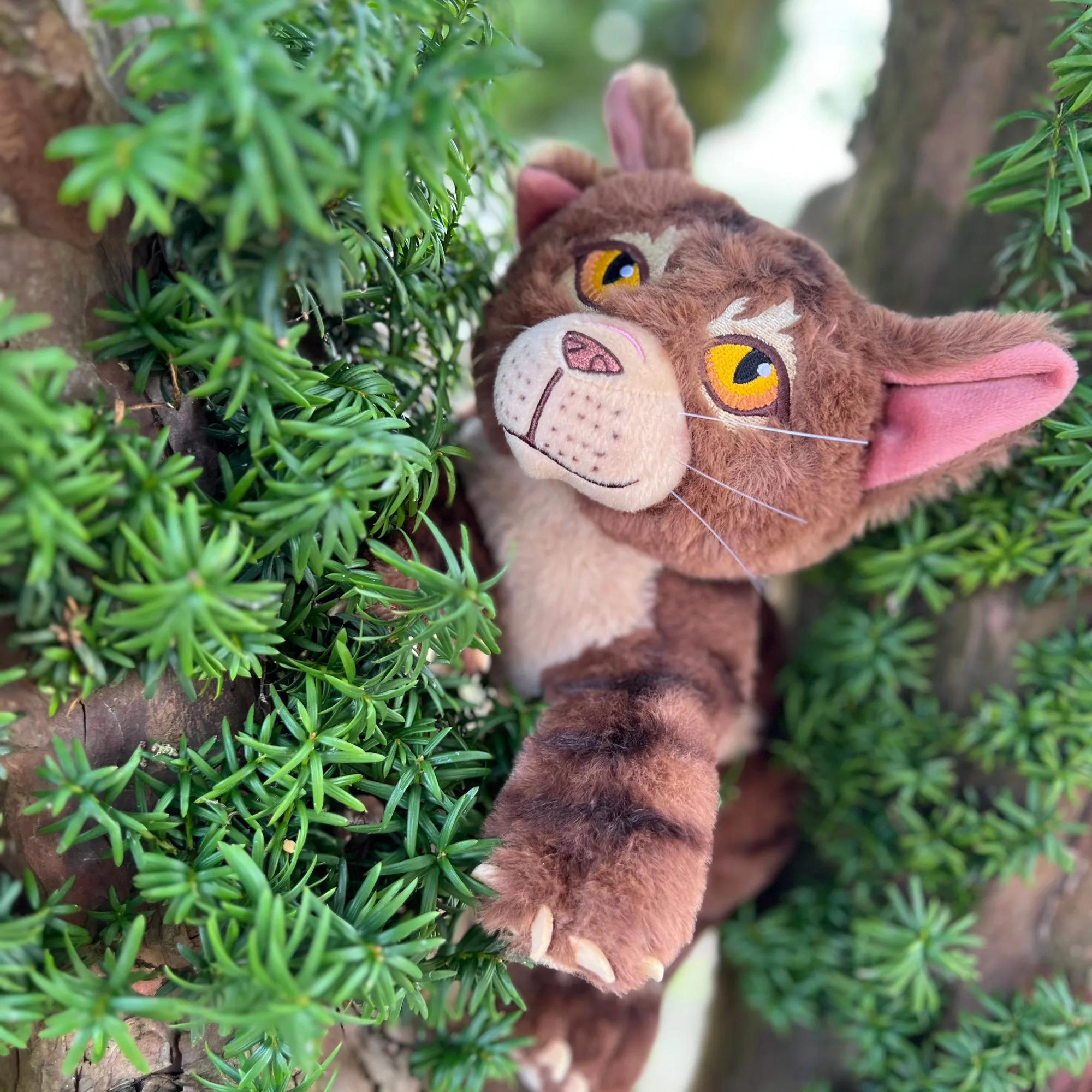 Tigerstar