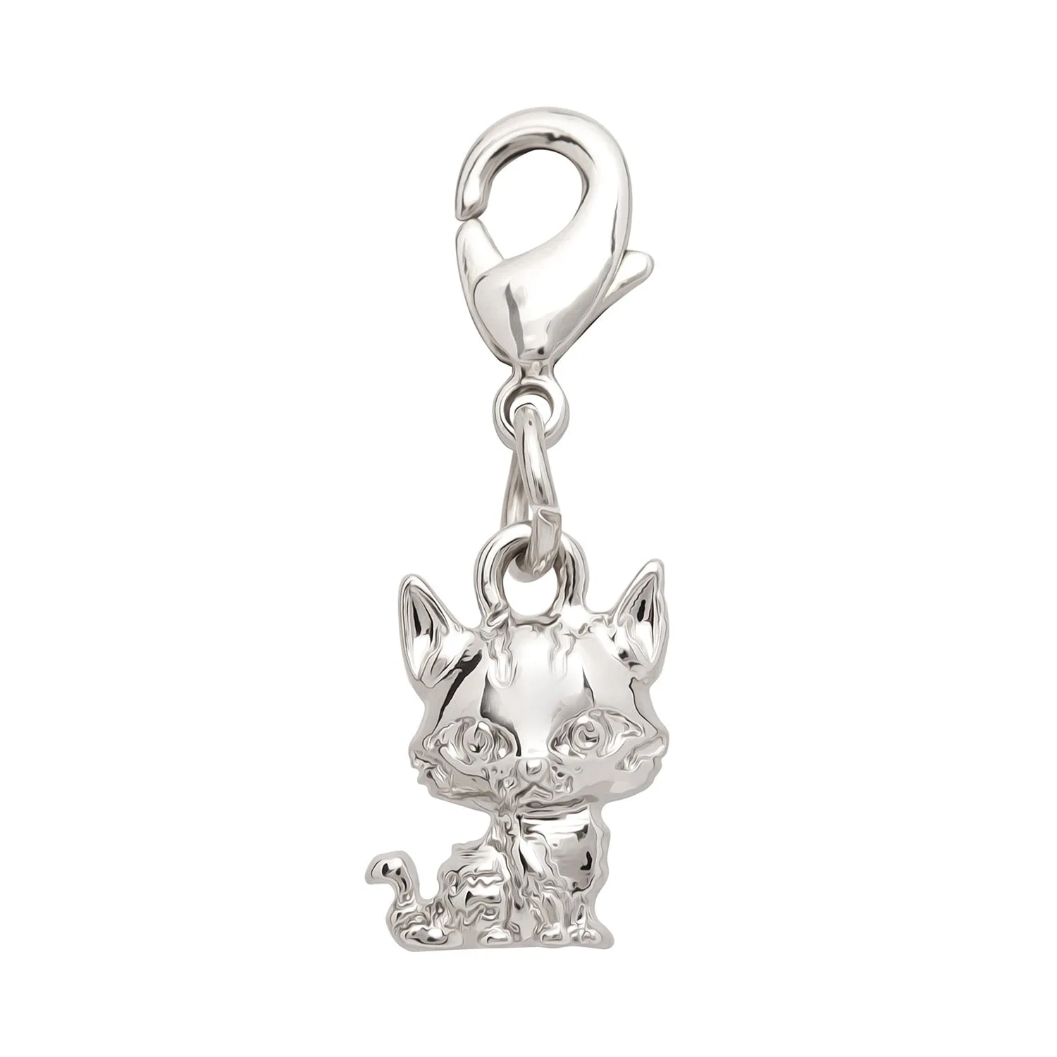 Leafstar Charm