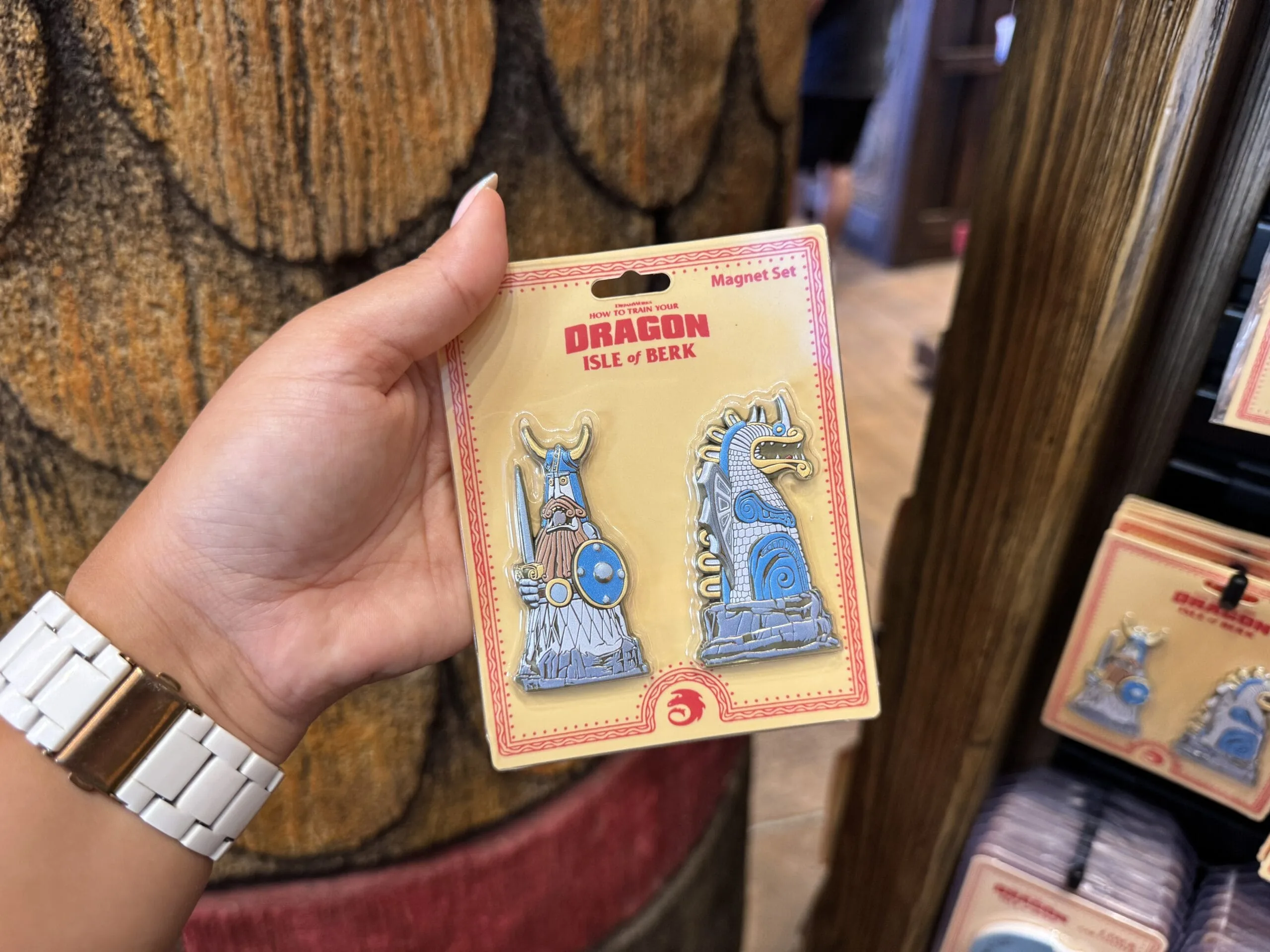 Viking & Dragon Magnet Set