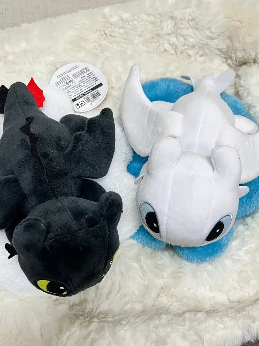 Toothless & Light Fury with clouds