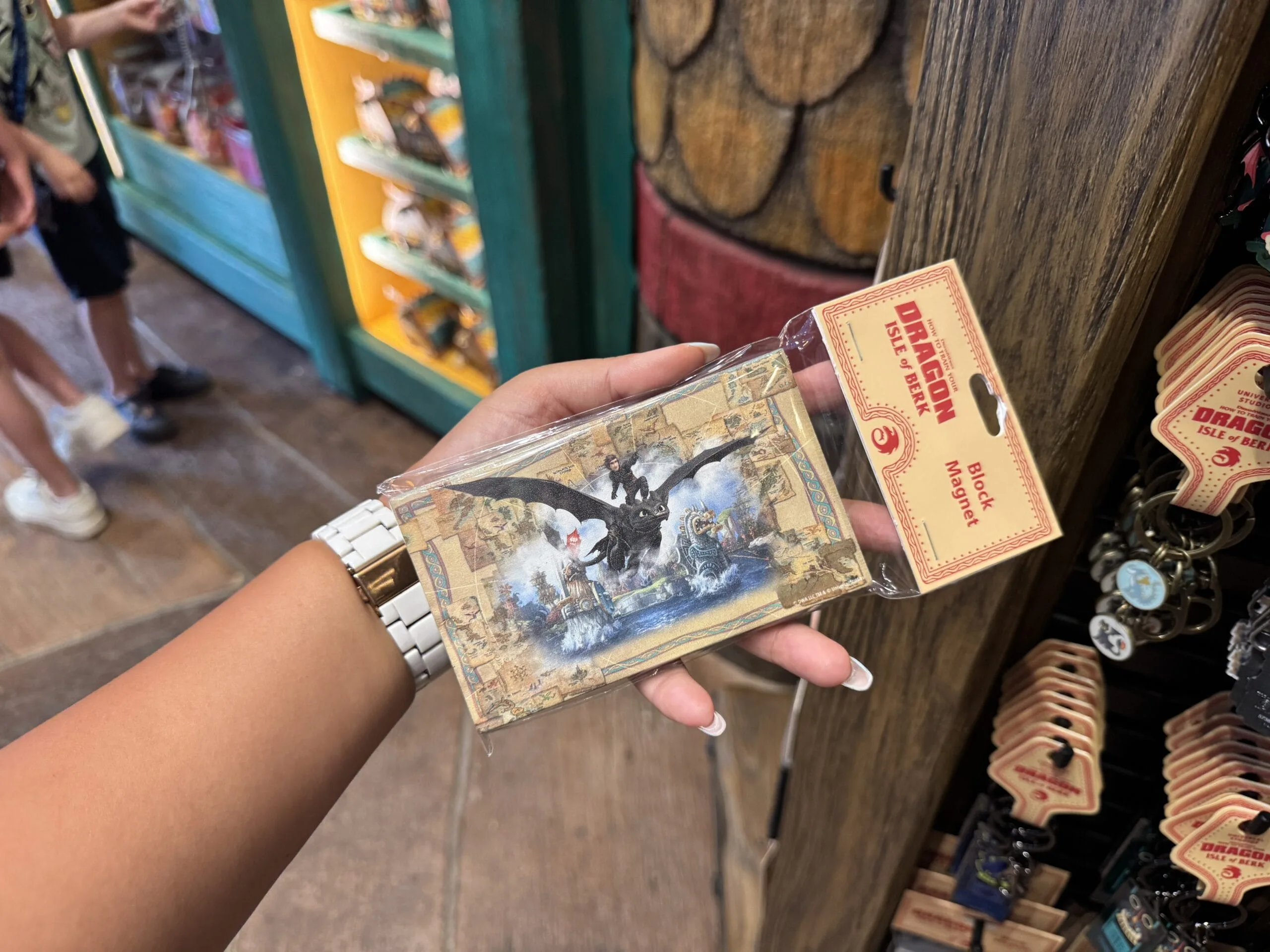 Hiccup & Toothless Block Magnet