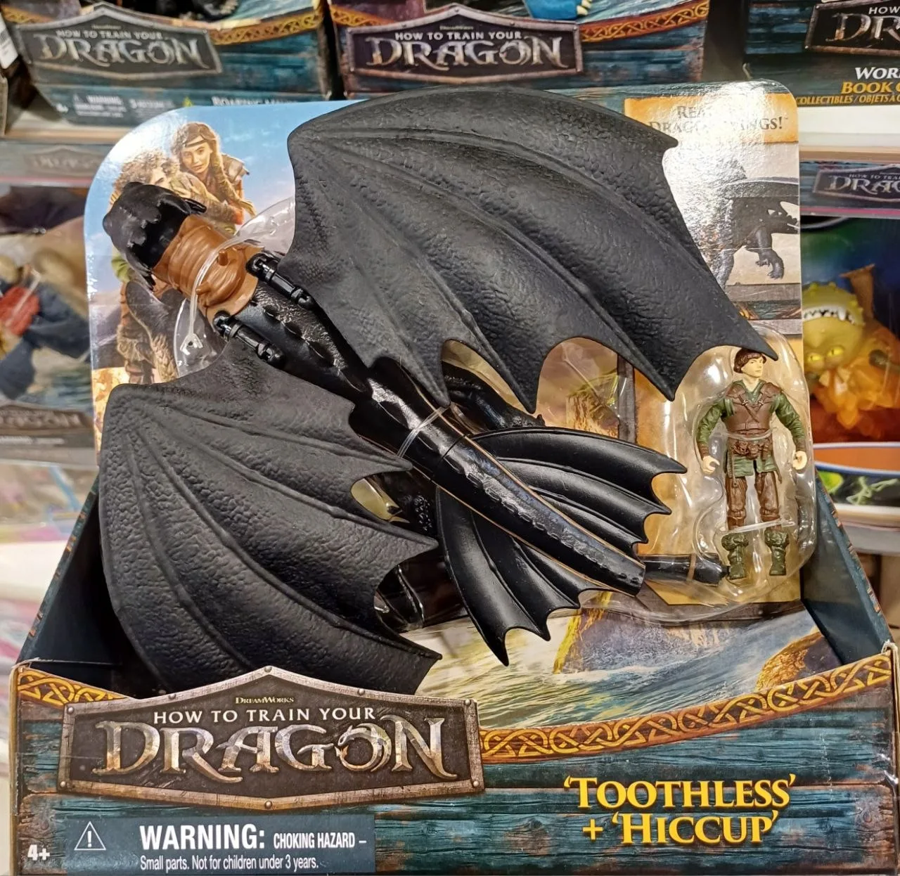 Toothless and Hiccup