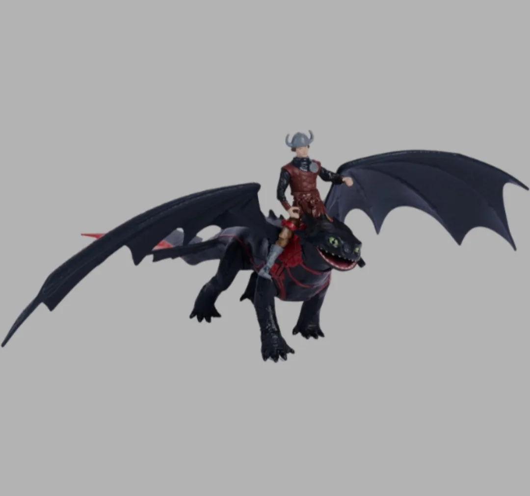 Toothless and Hiccup
