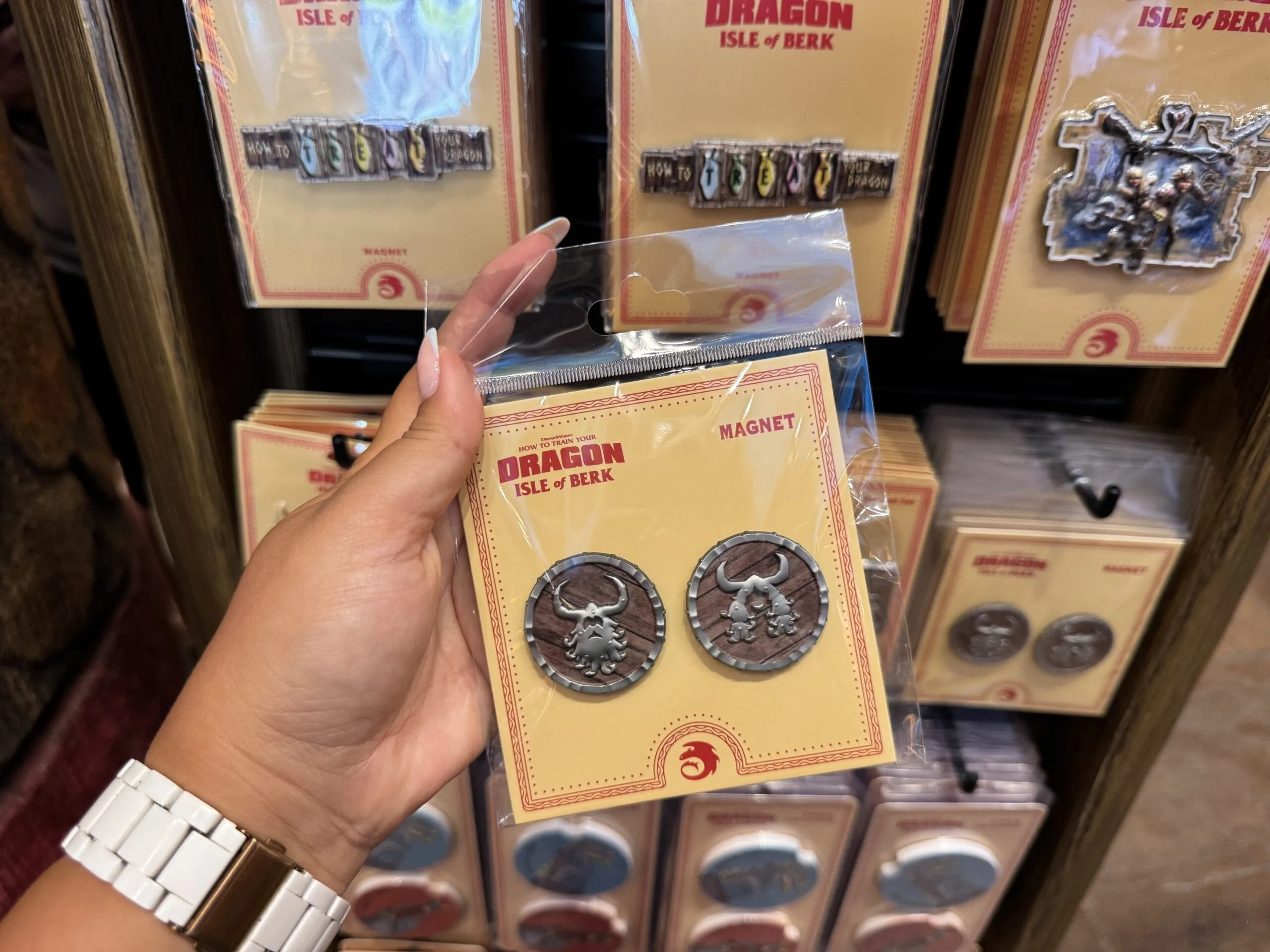 Viking Shields Magnet Set
